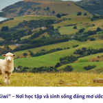 Khám phá “xứ Kiwi” – Nơi học tập và sinh sống đáng mơ ước bậc nhất thế giới Khám phá “xứ Kiwi” – Nơi học tập và sinh sống đáng mơ ước bậc nhất thế giới