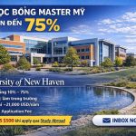 University of New Haven có học bổng Master/PhD không ?